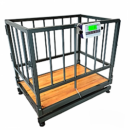 600 Kg Kapasiteli Küçükbaş Canlı Hayvan Baskülü - As Tartı